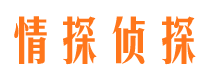 聂荣市侦探调查公司